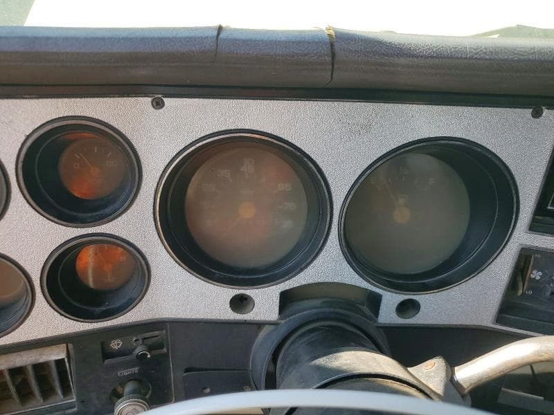 1981 CHEVROLET C20 9