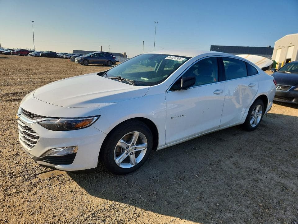 2019 CHEVROLET MALIBU LS - 1