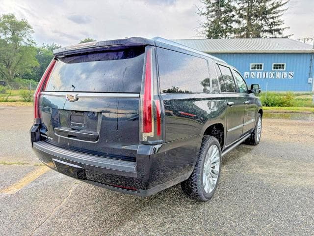 2020 CADILLAC ESCALADE ESV PLATINUM 4