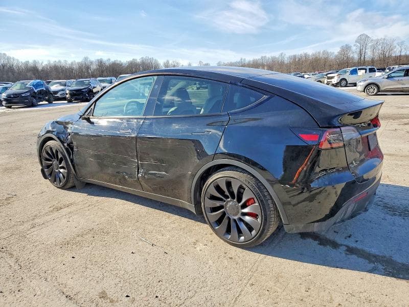 2024 TESLA Y 2