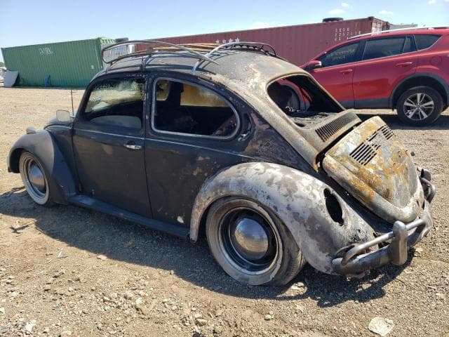 1982 VOLKSWAGEN BEETLE 2
