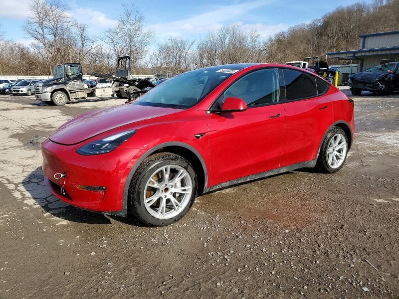 2023 TESLA MODEL Y 1