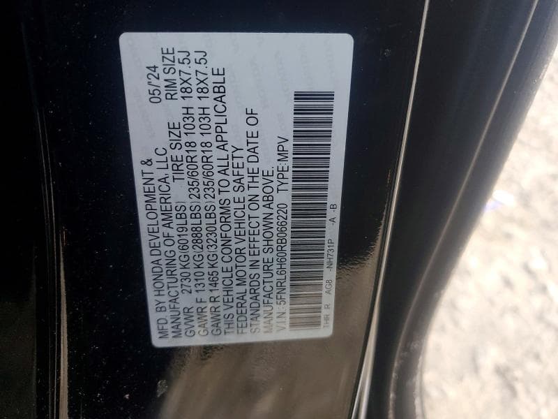 2024 HONDA ODYSSEY EXL EXL 13