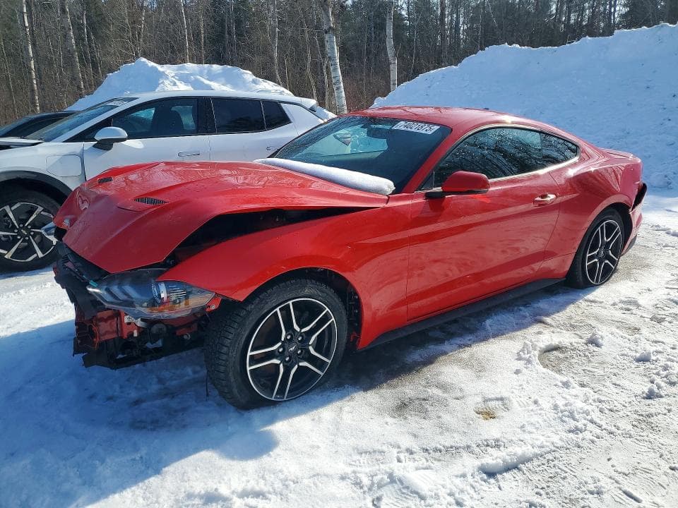 2019 FORD MUSTANG 2DR 1