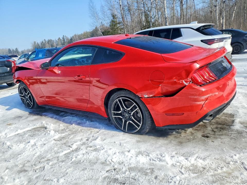 2019 FORD MUSTANG 2DR 2