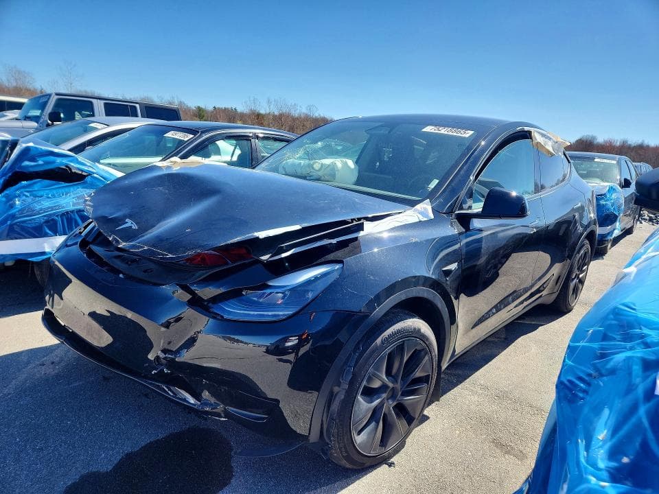 2025 TESLA MODEL Y - 1