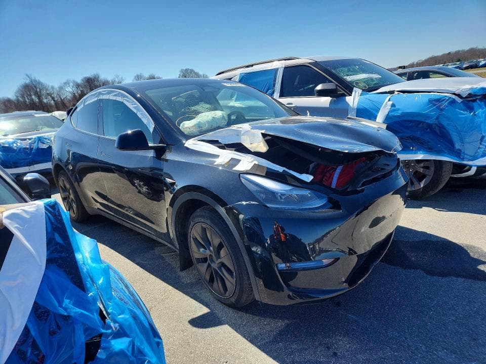 2025 TESLA MODEL Y 4