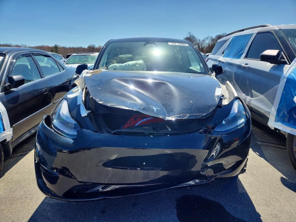 2025 TESLA MODEL Y 5