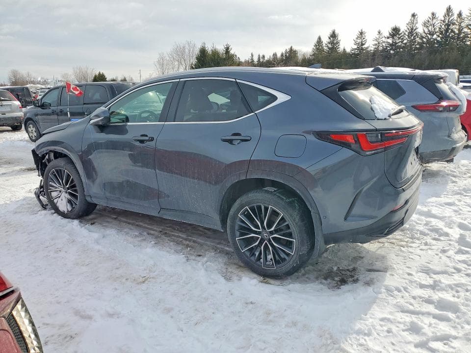 2022 LEXUS NX 350H 350H 2