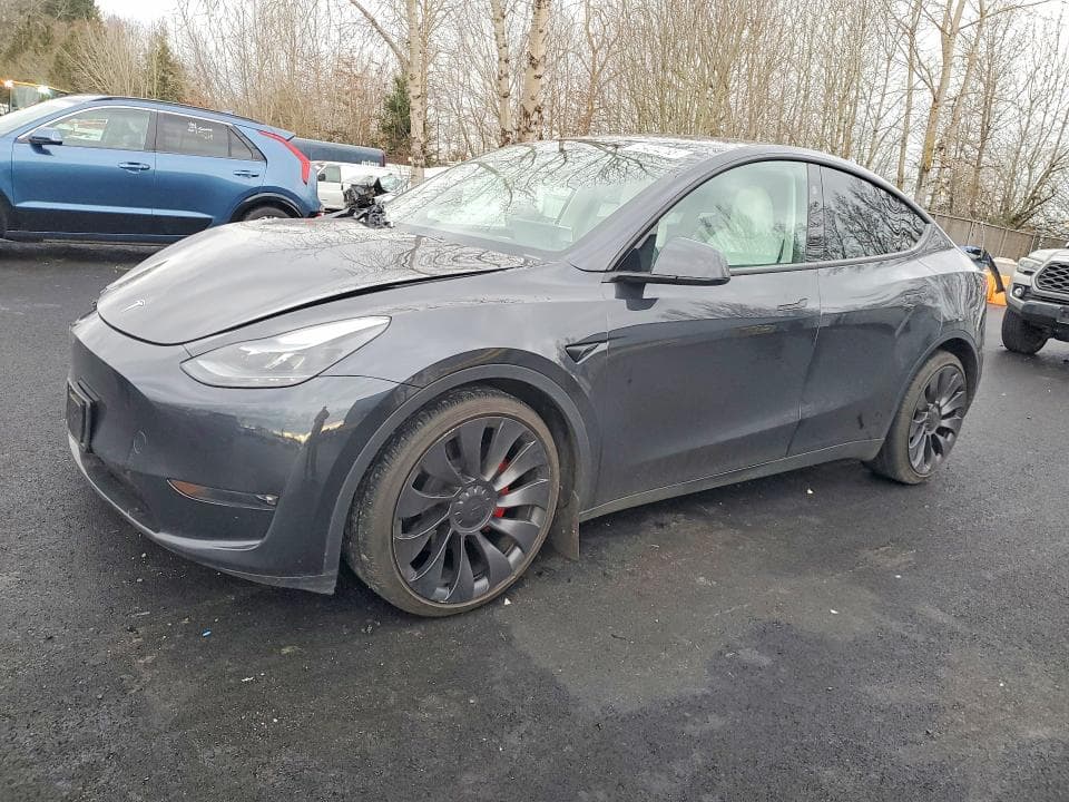 2024 TESLA MODEL Y - 1