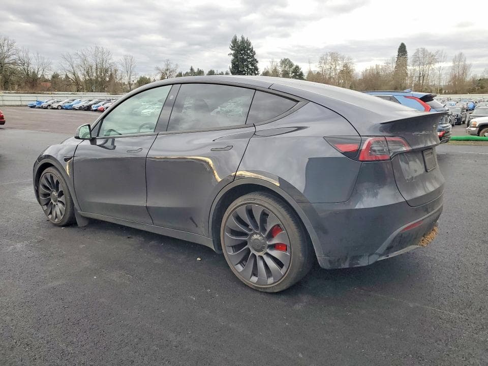 2024 TESLA MODEL Y 2