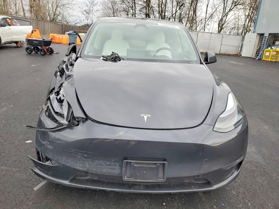 2024 TESLA MODEL Y 5