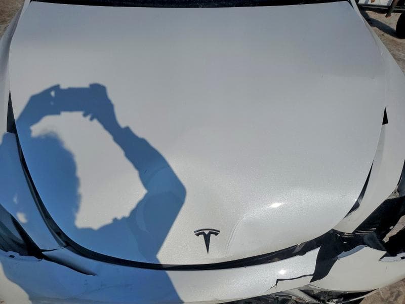 2023 TESLA MODEL Y 11