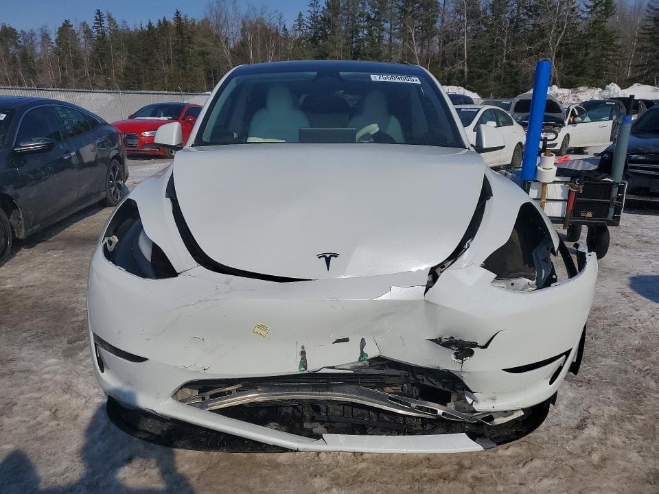 2023 TESLA MODEL Y 5