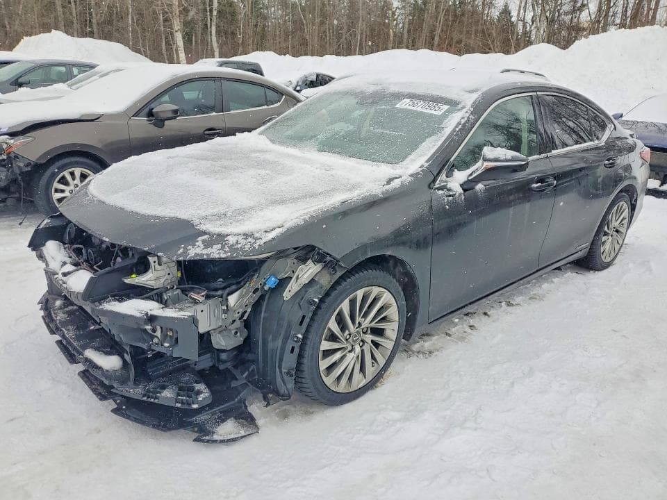 2019 LEXUS ES 300H - 1