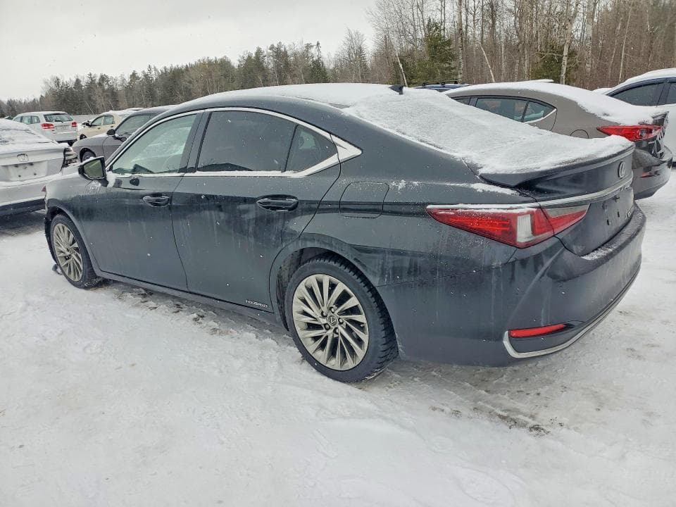 2019 LEXUS ES 300H 2