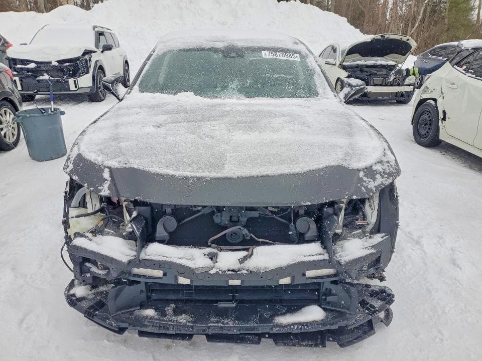 2019 LEXUS ES 300H 5