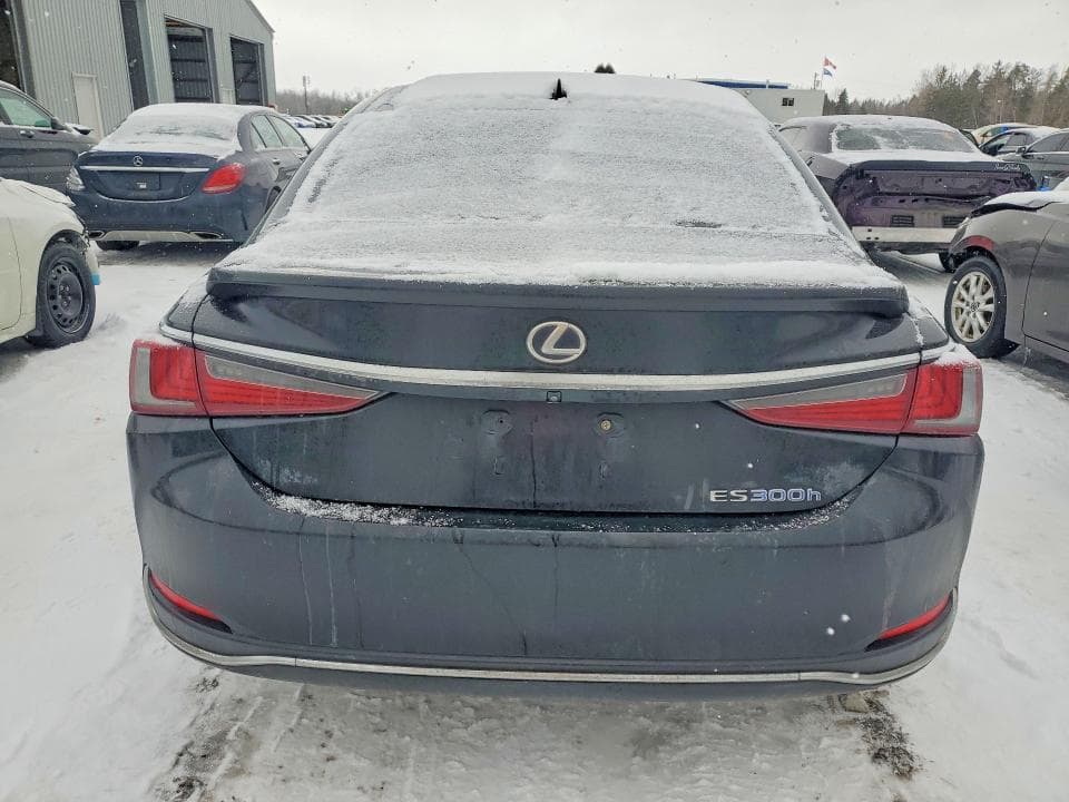 2019 LEXUS ES 300H 6
