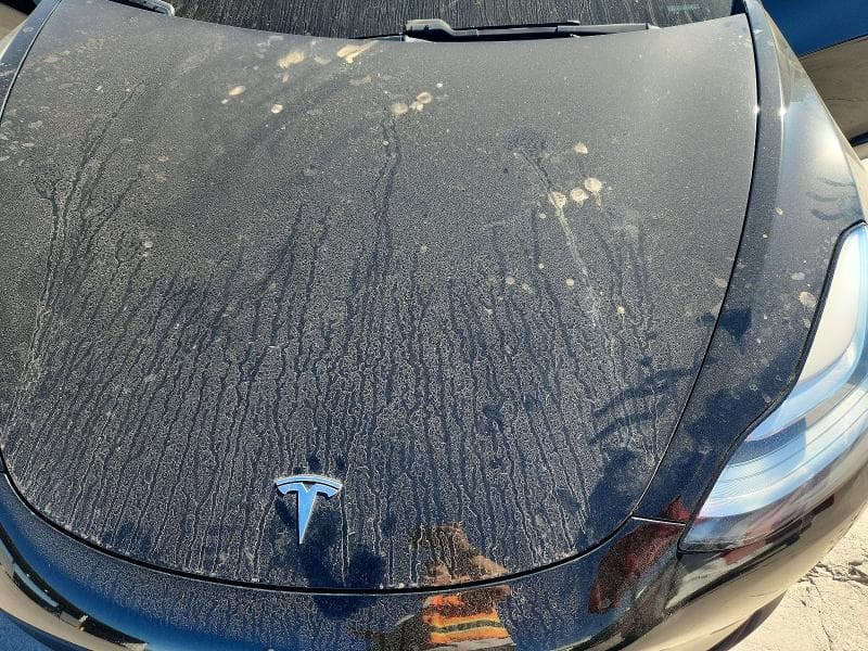 2019 TESLA MODEL 3 11