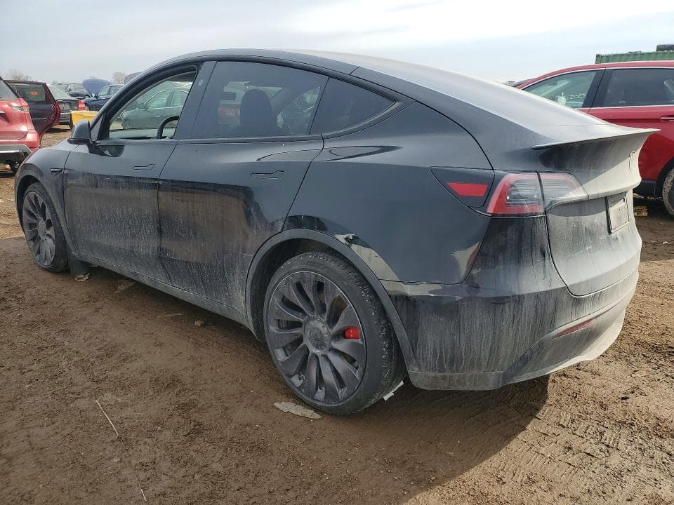 2025 TESLA MODEL Y 2