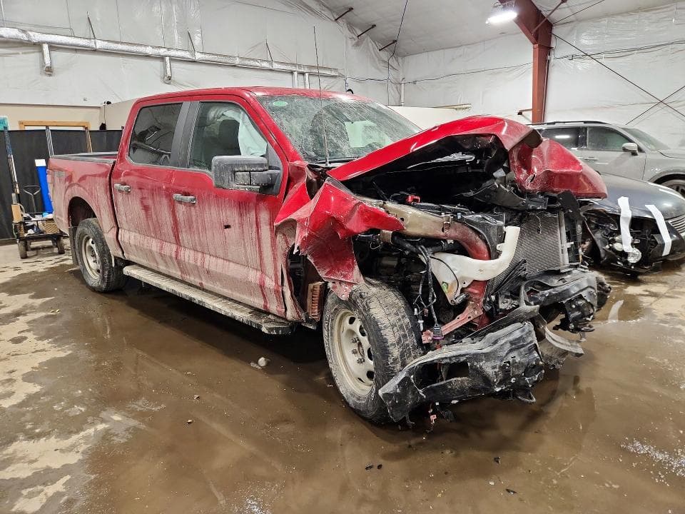 2025 FORD F150 STX STX 4