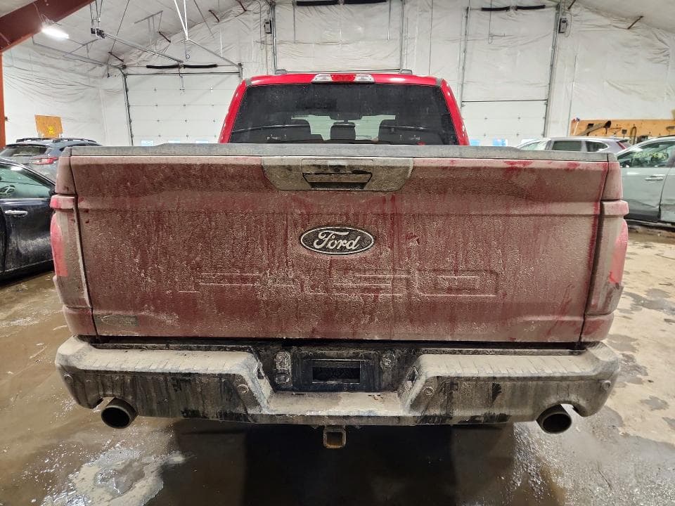 2025 FORD F150 STX STX 6
