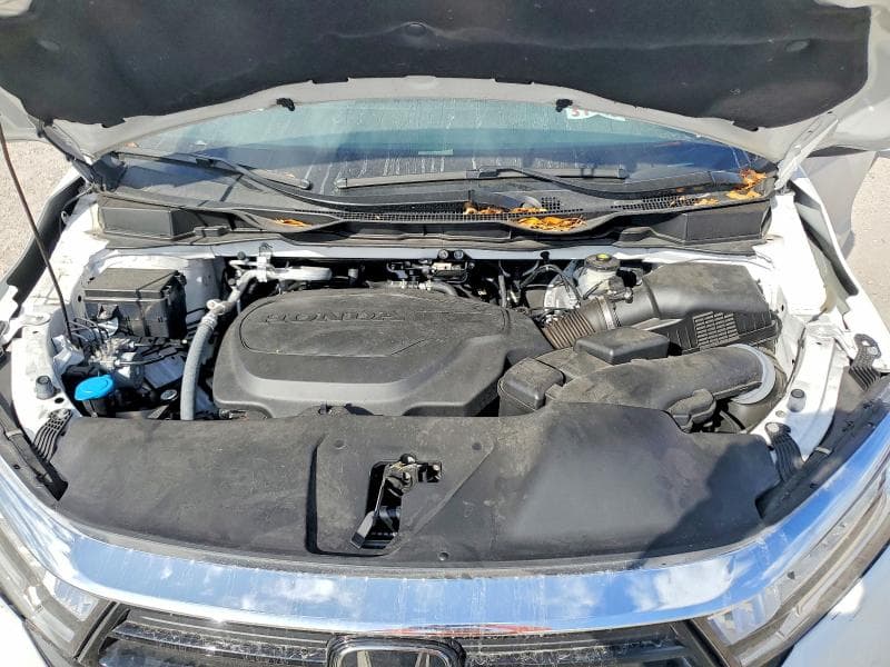 2024 HONDA ODYSSEY EXL 12