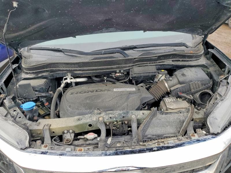 2020 HONDA PILOT EXL EXL 11