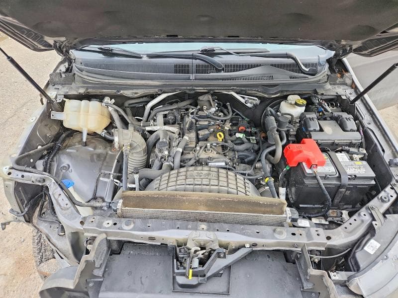 2019 FORD RANGER XL 11