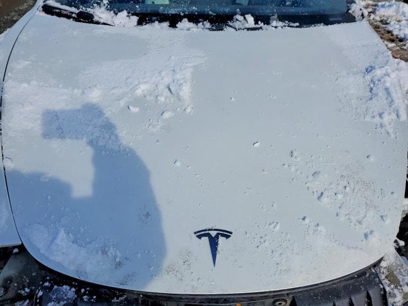 2020 TESLA MODEL 3 11