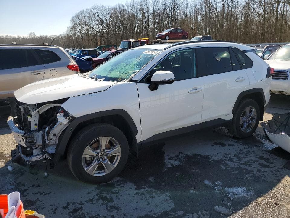 2024 TOYOTA RAV4 HYBRID XLE XLE - 1