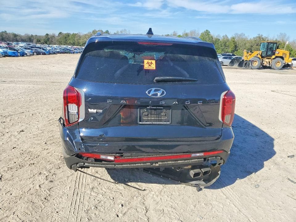 2023 HYUNDAI PALISADE LIMITED 6