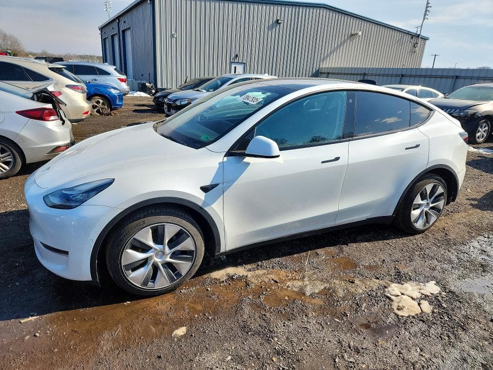 2021 TESLA MODEL Y - 1