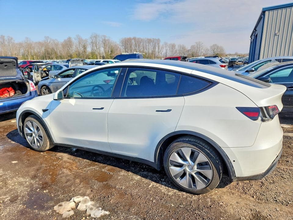 2021 TESLA MODEL Y 2