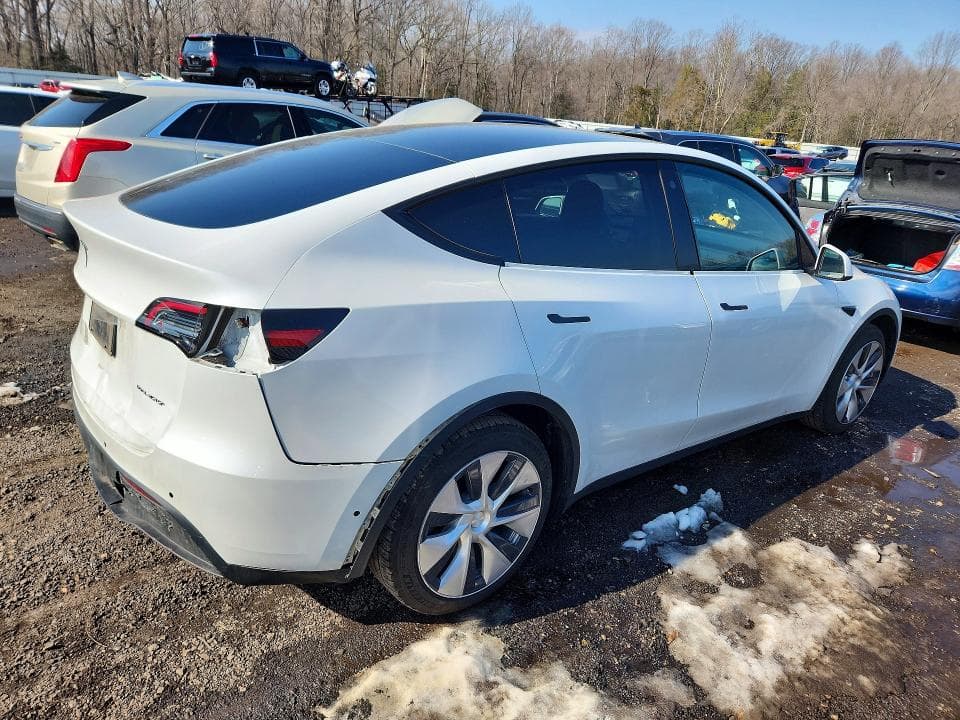 2021 TESLA MODEL Y 3
