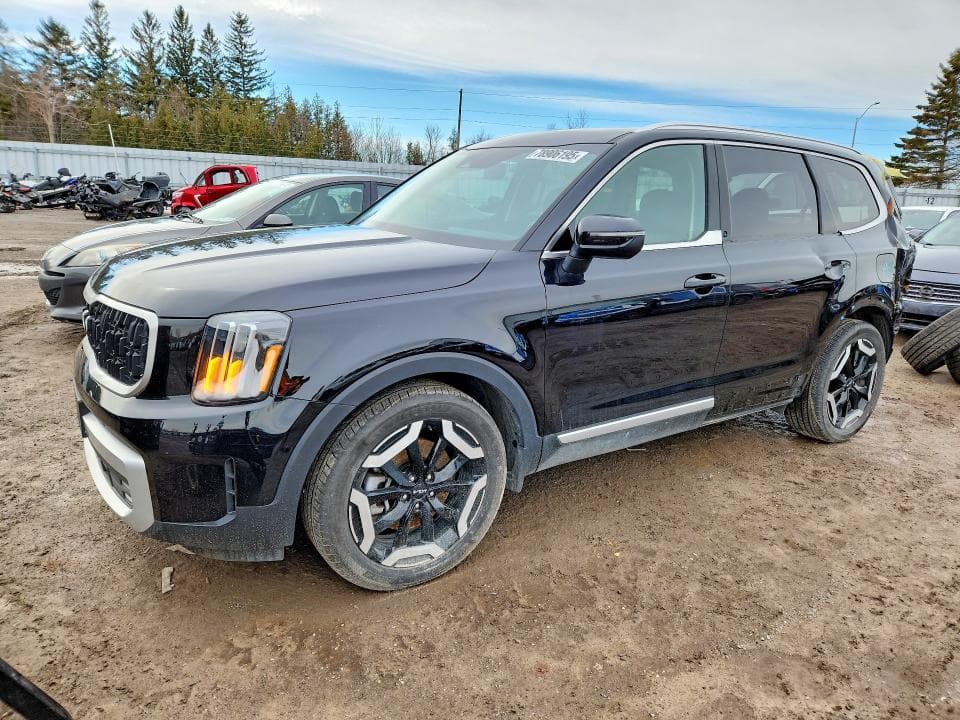 2024 KIA TELLURIDE EX - 1