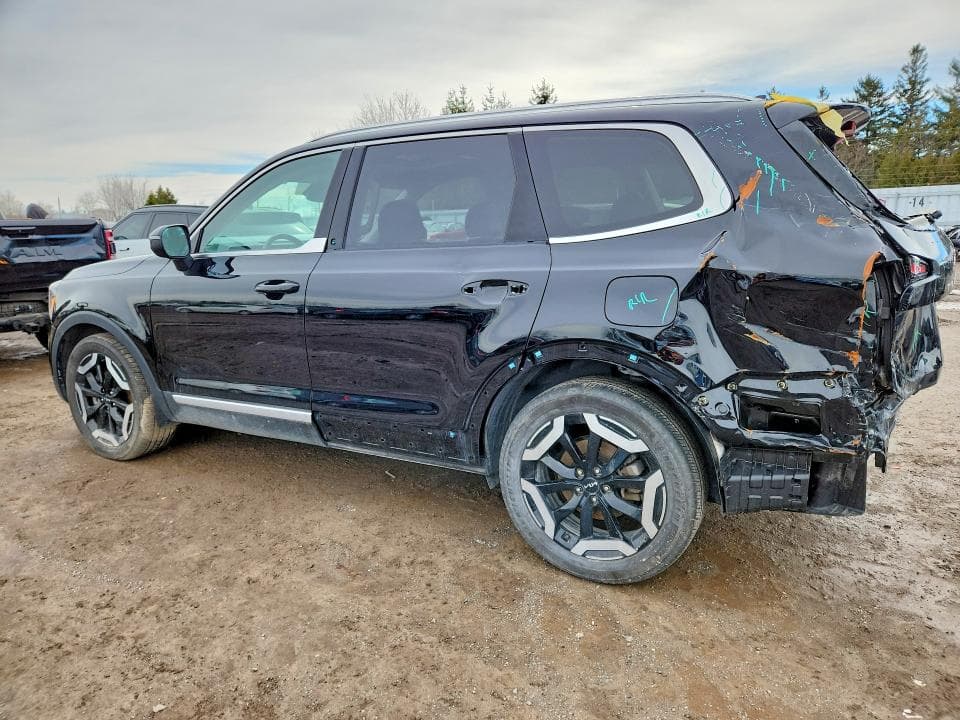 2024 KIA TELLURIDE EX 2