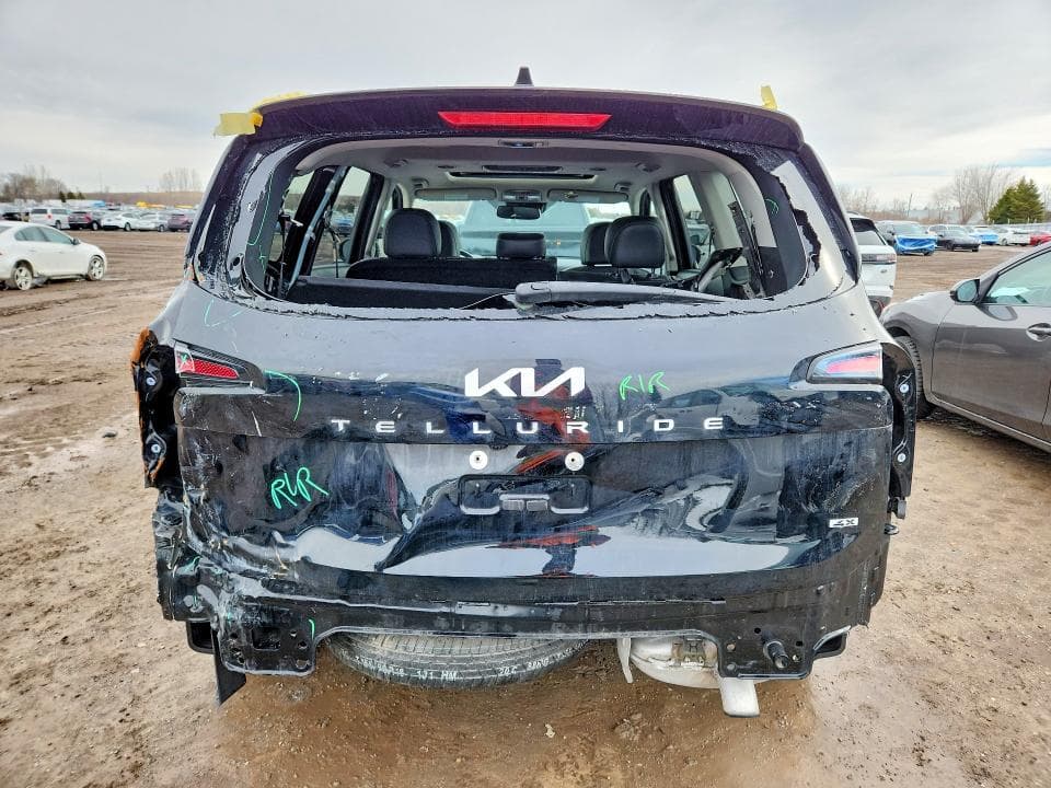 2024 KIA TELLURIDE EX 6