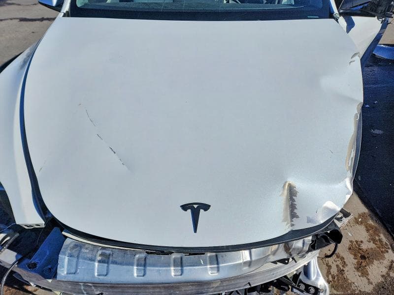 2021 TESLA MODEL Y 11
