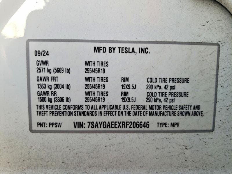 2024 TESLA MODEL Y 12