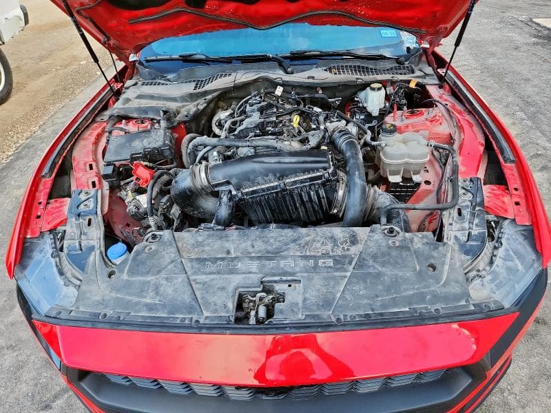 2024 FORD MUSTANG 12