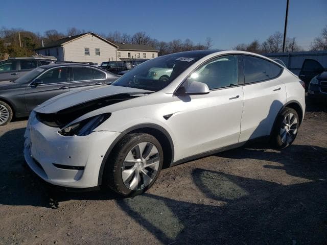 2021 TESLA MODEL Y - 1