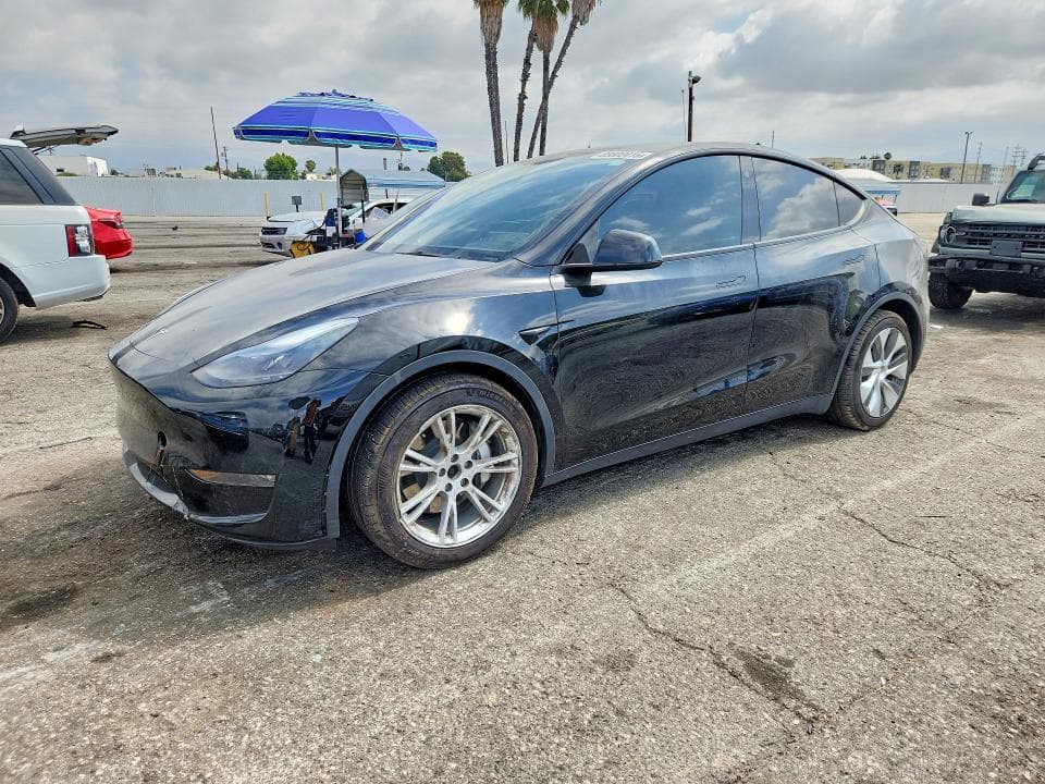 2023 TESLA MODEL Y - 1