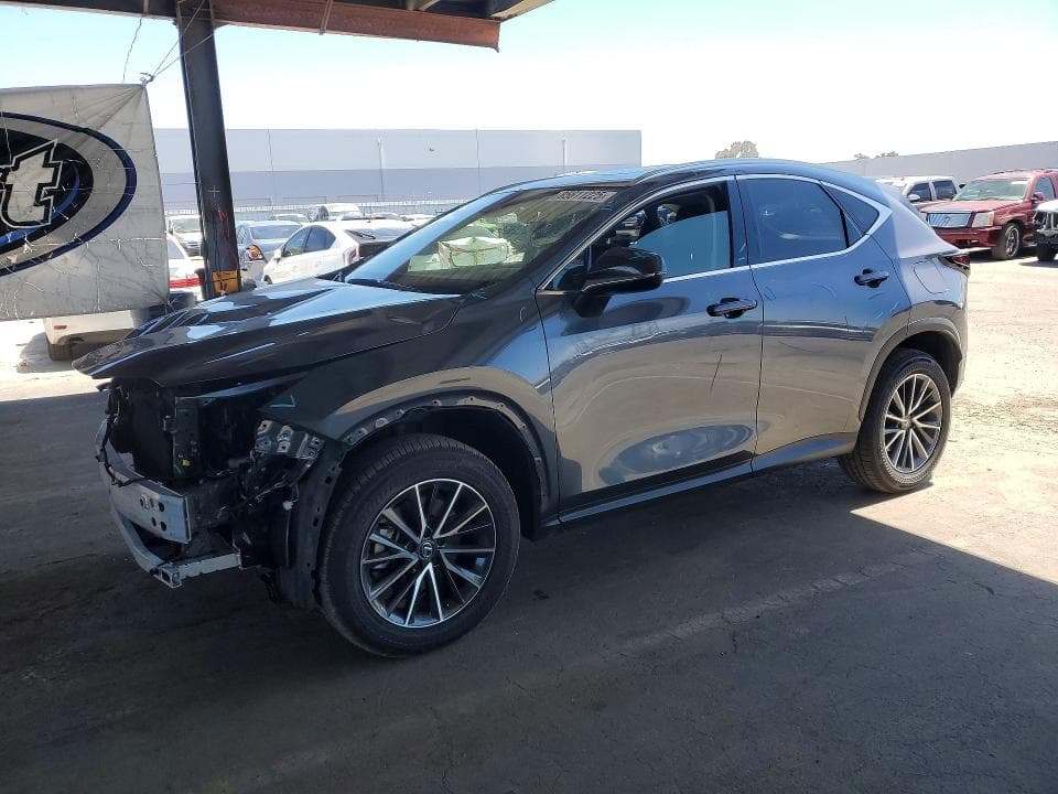 2024 LEXUS NX 250 BASE - 1