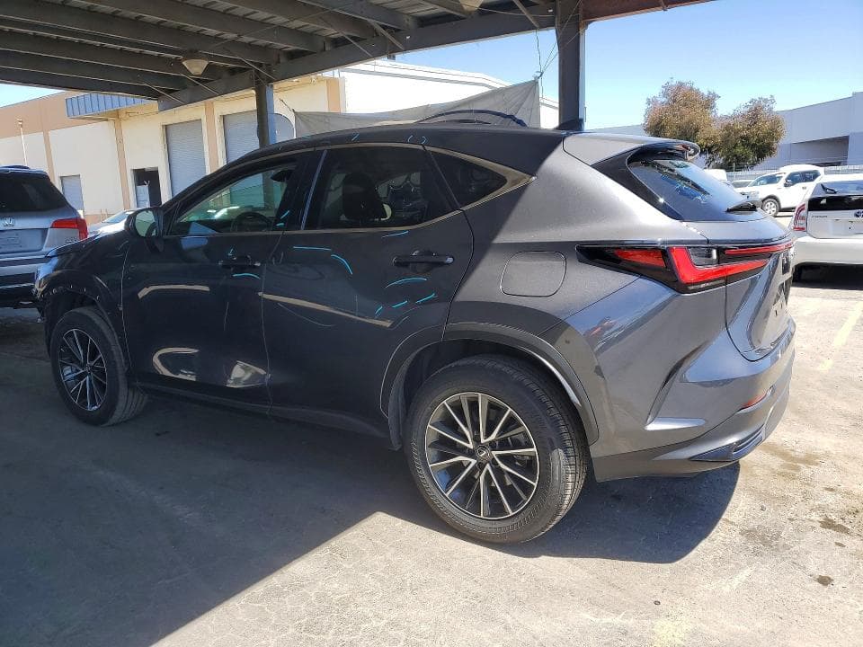 2024 LEXUS NX 250 BASE 2