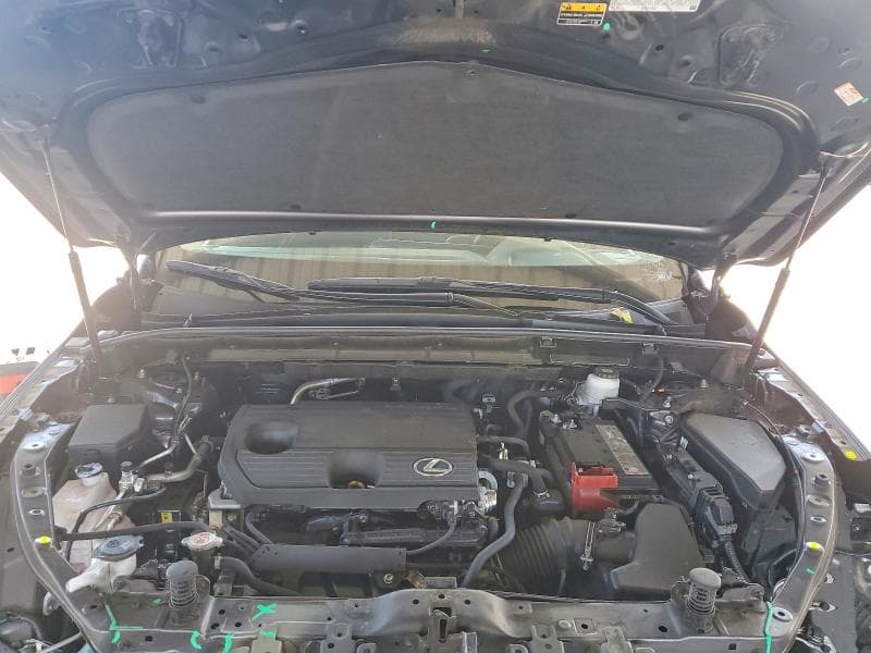 2024 LEXUS NX 250 BASE 11
