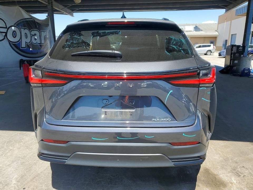 2024 LEXUS NX 250 BASE 6