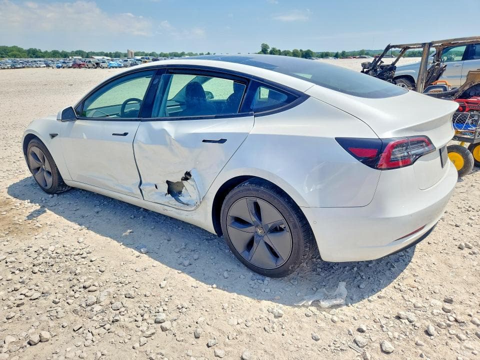 2020 TESLA MODEL 3 2