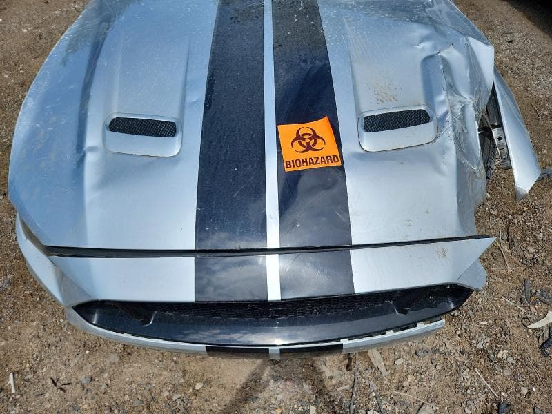 2019 FORD MUSTANG GT 11