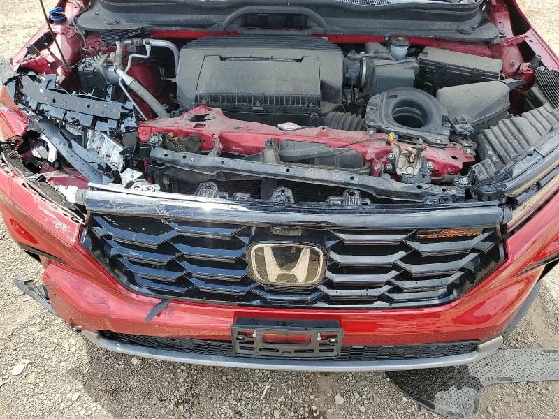 2025 HONDA PILOT TRAILSPORT 12